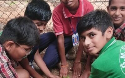 TREE PLANTATION